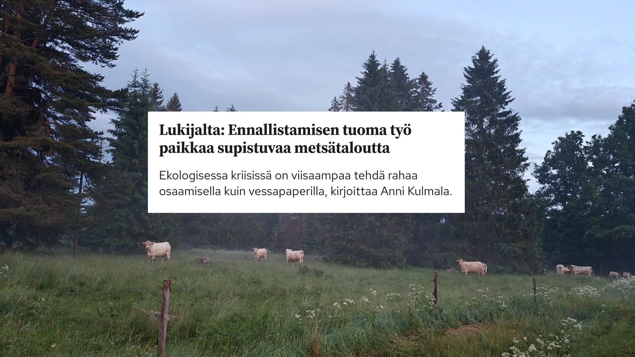 Featured image for “Ennallistamisen tuoma työ paikkaa supistuvaa metsätaloutta”